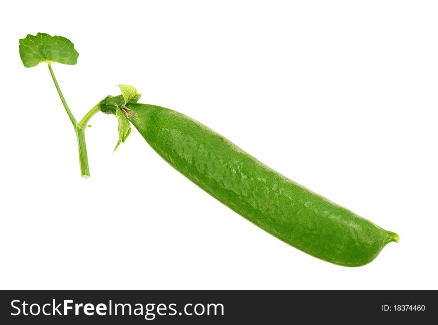 Fresh green pea pod isolated on white background