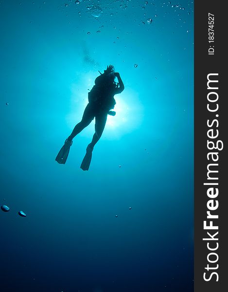 Silhouetted scuba diver in blue ocean