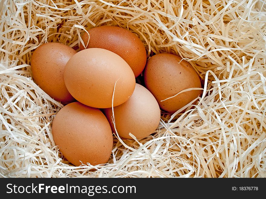 Six Heg Eggs