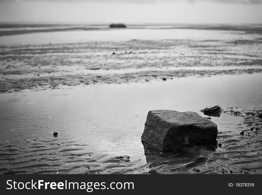 Lonely rock at the beach of Terschelling