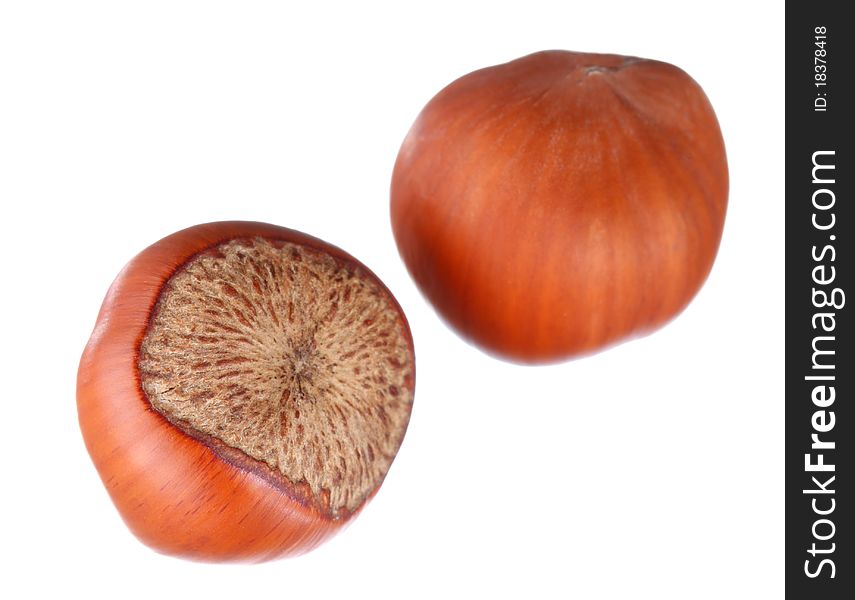 Two hazelnuts isolated on white. Two hazelnuts isolated on white