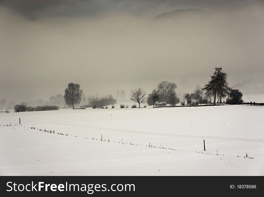 Winter scene with snow and fog