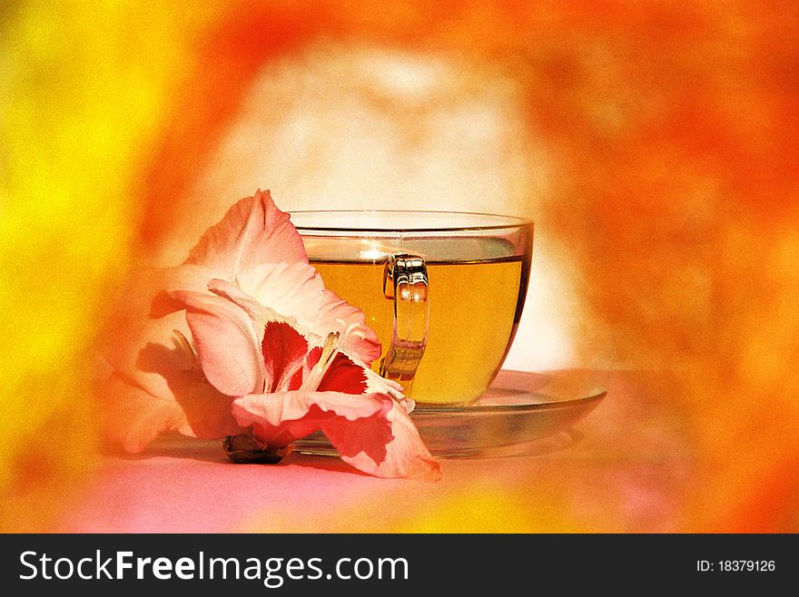 Glass cup with tea and pink flowers. Glass cup with tea and pink flowers