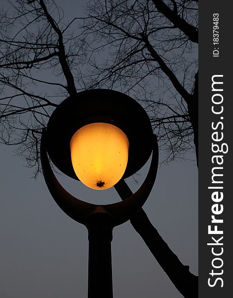 The street lamp lighted at night