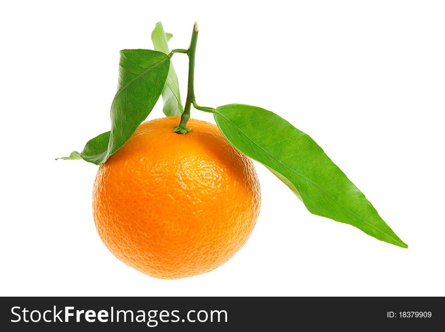 Mandarin with leaves isolated on a white background. Mandarin with leaves isolated on a white background.