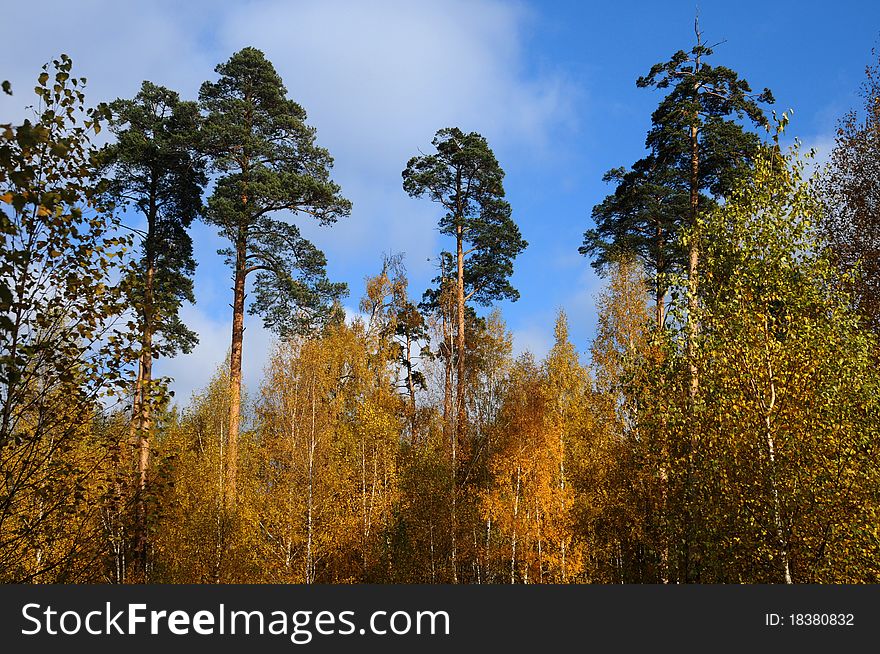 Autumn in Moscow suburbs! Village Grebnevo - ancient lordly manor. Autumn in Moscow suburbs! Village Grebnevo - ancient lordly manor.