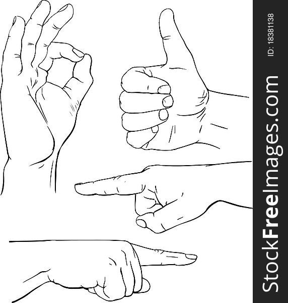Vector illustration various poses of human hands