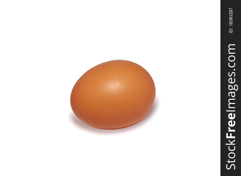 A single egg on a white background