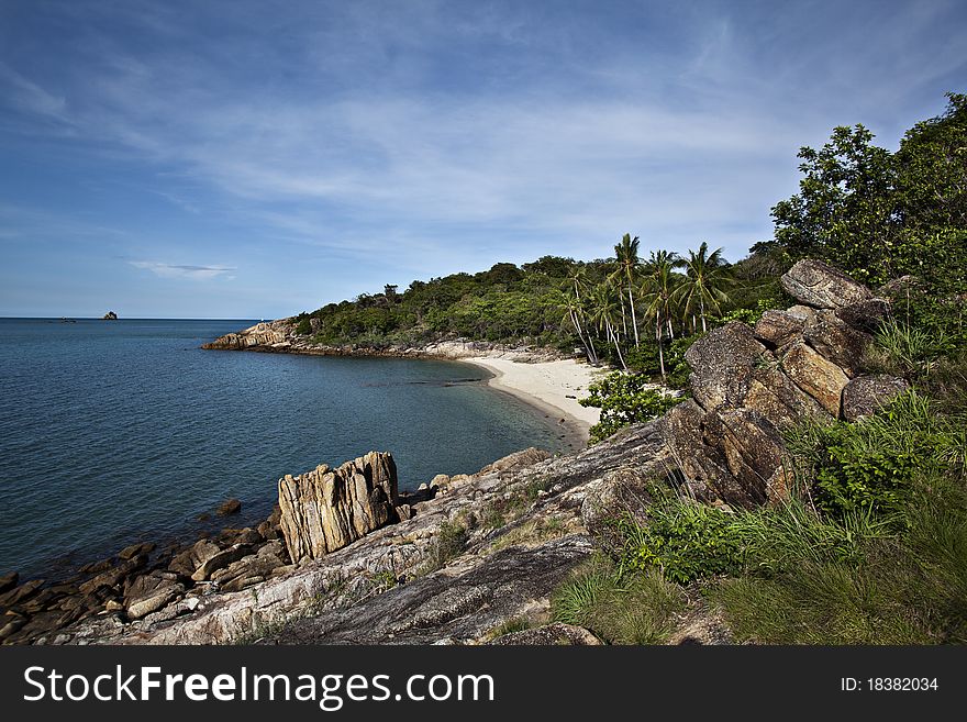 Sea rock tree landscape nature. Sea rock tree landscape nature