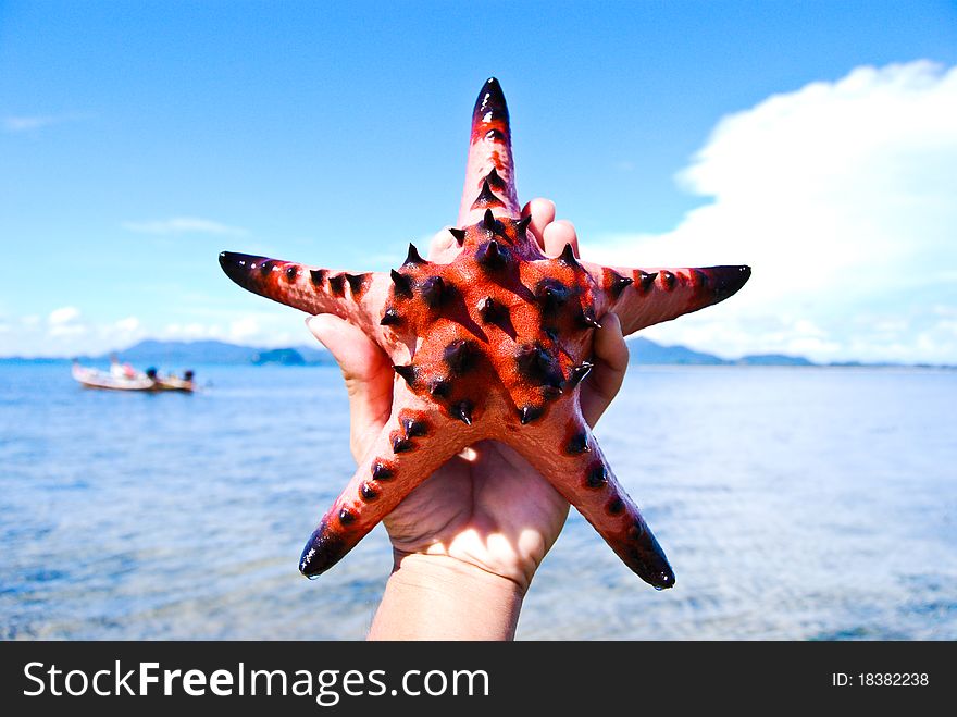 Starfish and sky, sea, Thailand. Starfish and sky, sea, Thailand.