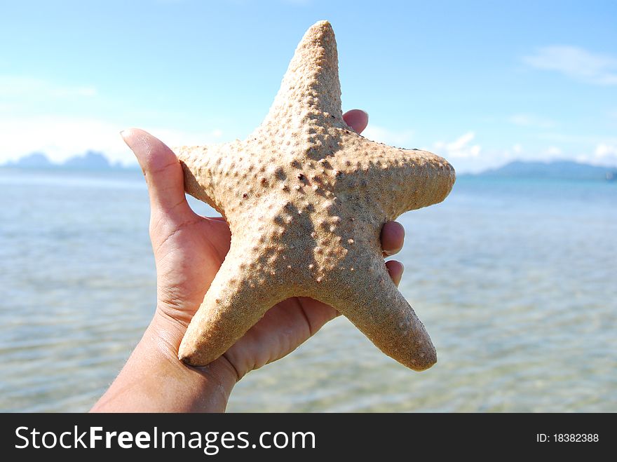 Starfish and sky, sea, Thailand. Starfish and sky, sea, Thailand.