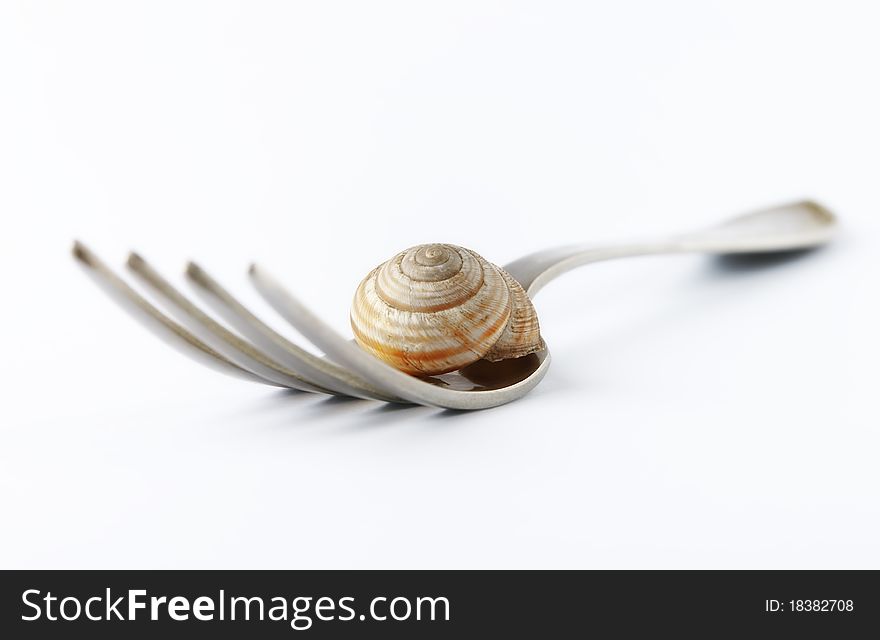 Plug with a snail isolated on a white background