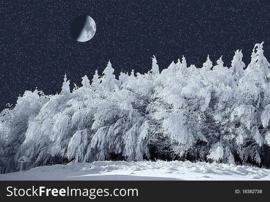 Moon over the winter forest. Moon over the winter forest