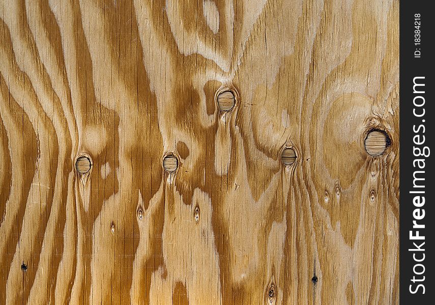 Close-up of light wood with strong grain and knots. Close-up of light wood with strong grain and knots