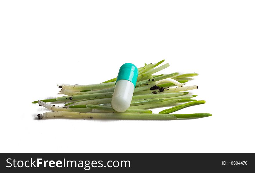 Capsule among a grass on white background. Capsule among a grass on white background.