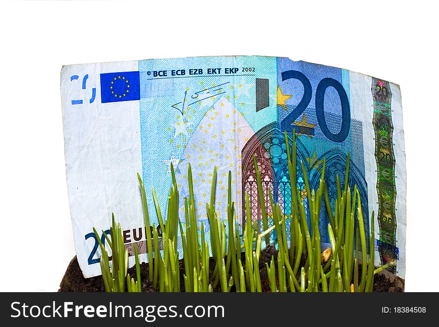 Twenty euro note bill at grass meadow. Twenty euro note bill at grass meadow