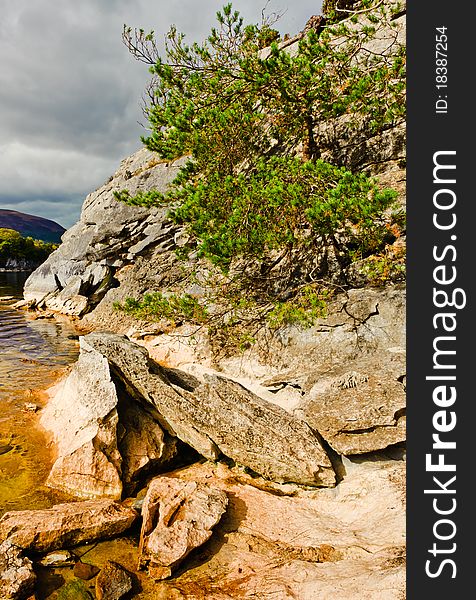 Green tree on rocks by lake on cloudy day in Killarney National Park, Ireland. Green tree on rocks by lake on cloudy day in Killarney National Park, Ireland