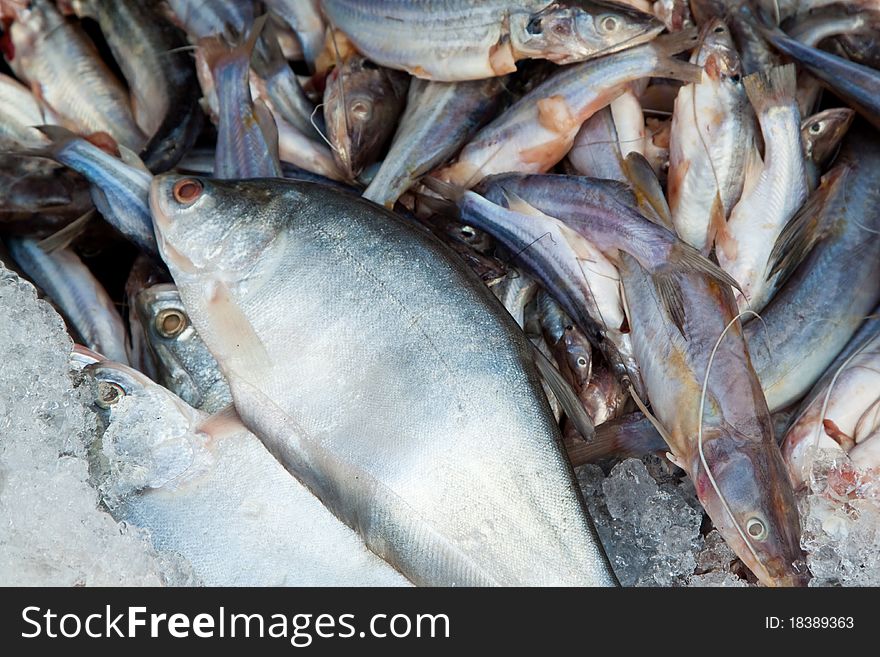 Many of raw cat  fish sell in local fresh market. Many of raw cat  fish sell in local fresh market