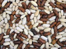Kidney Beans Stock Image Kidney Beans Stock Image