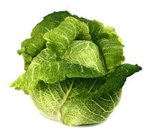Cabbage Stock Photography Cabbage Stock Photography