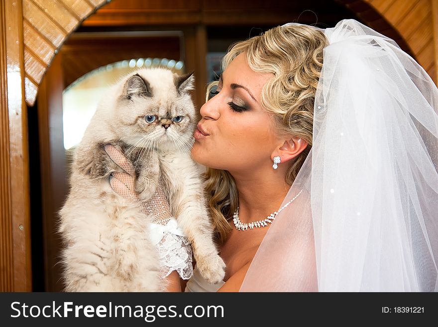 The bride has control over a nice blue-eyed cat. The bride has control over a nice blue-eyed cat