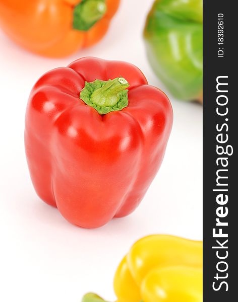 Isolated colorful pepper pattern on white