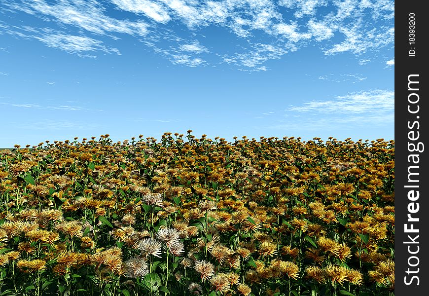 Illustration of a beautiful yellow flower field in summer