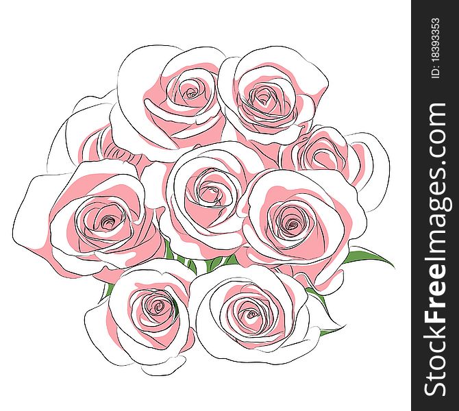 Pink roses on a white background