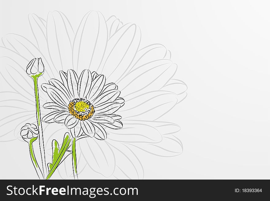 Beautiful  chamomiles on light background (illustration). Beautiful  chamomiles on light background (illustration)