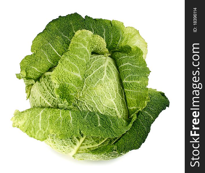 Cabbage isolated on white background