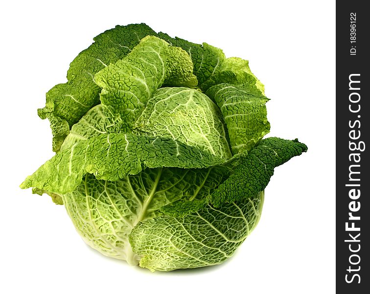 Cabbage isolated on white background