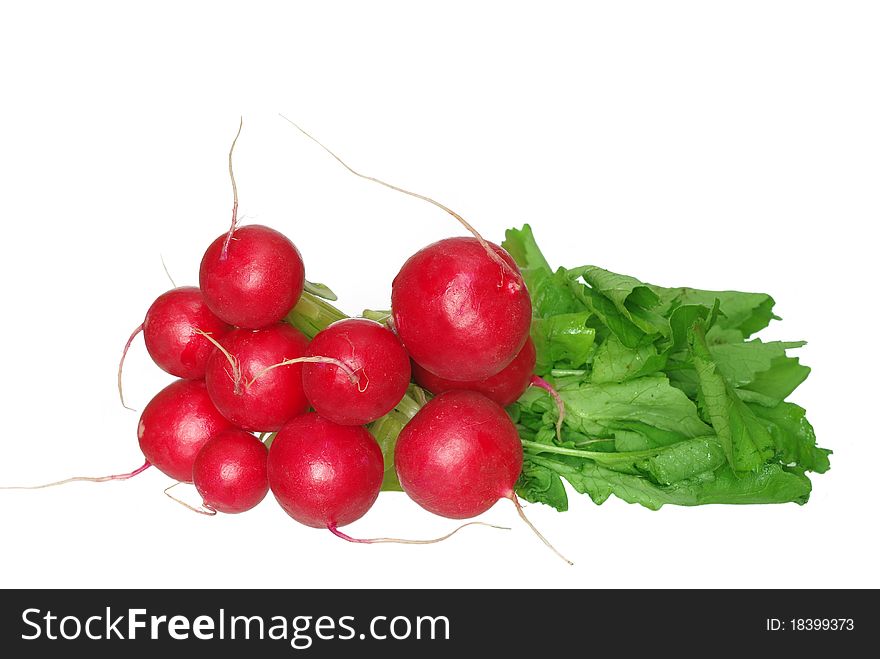 Radish from green leaves on white background
