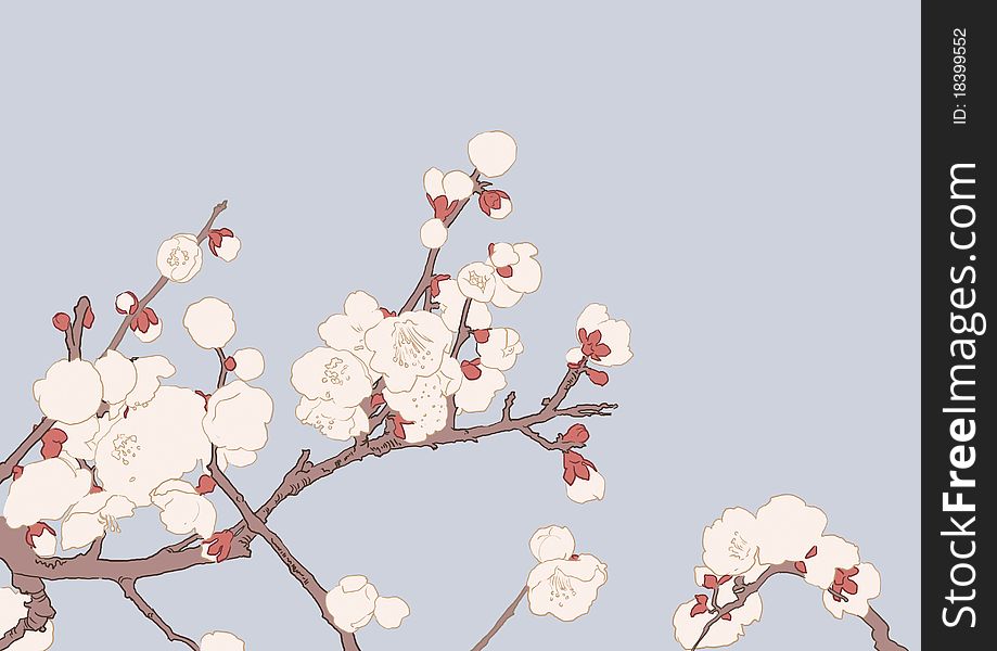 Blossoming Sakura tree. Rasterized image. Blossoming Sakura tree. Rasterized image