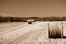 Roll Of Hay Royalty Free Stock Photo Roll Of Hay Royalty Free Stock Photo