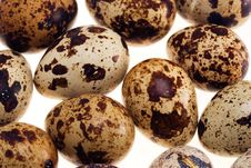 Quail S Eggs Stock Image Quail S Eggs Stock Image