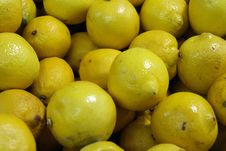 Lemons From The Local Market Stock Photography Lemons From The Local Market Stock Photography