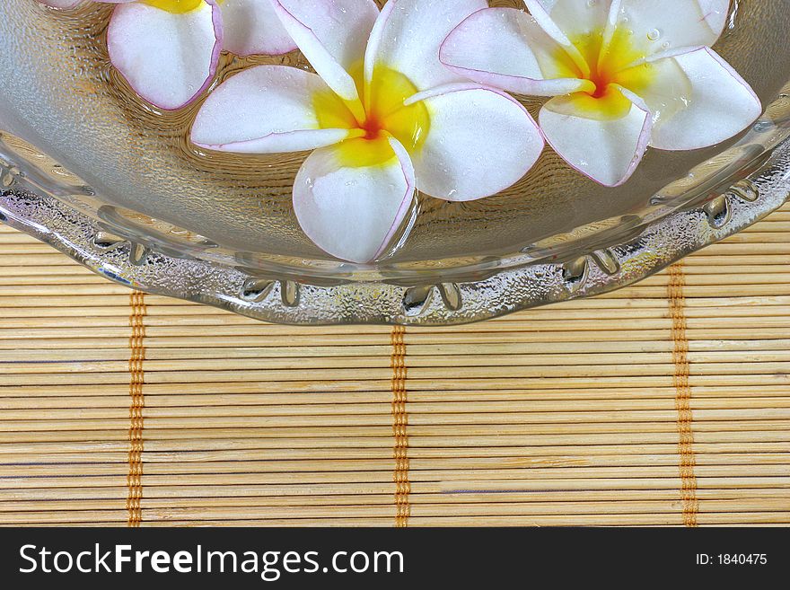 Frangipane Flowers On A Glass Bowl