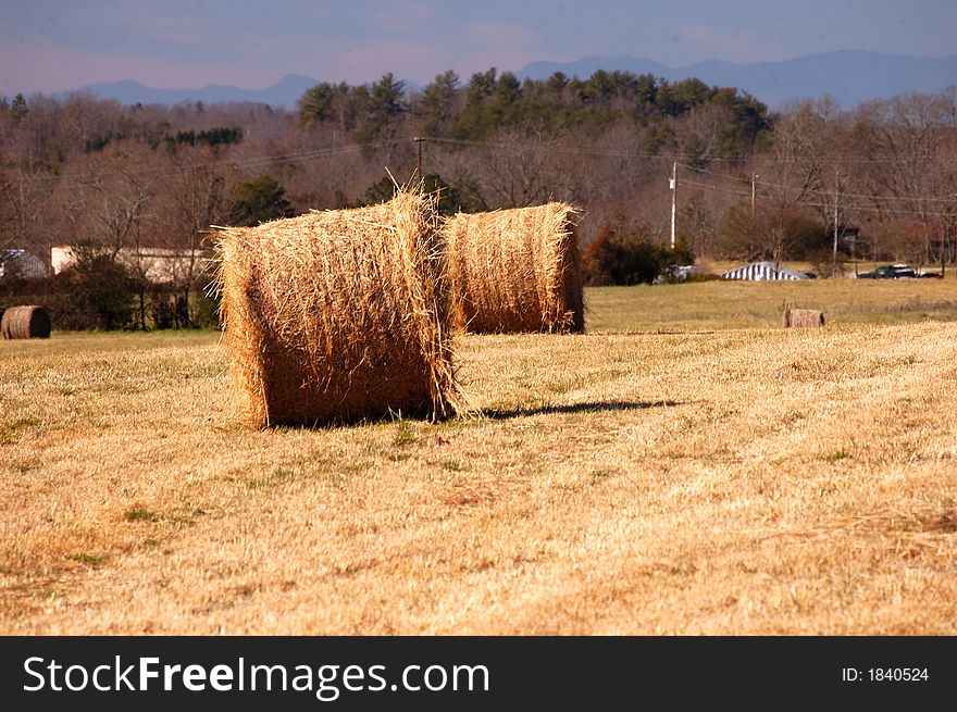 Field of hay