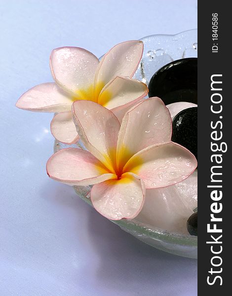 Frangipane flowers and pebbles in a glass bowl on the rattan background