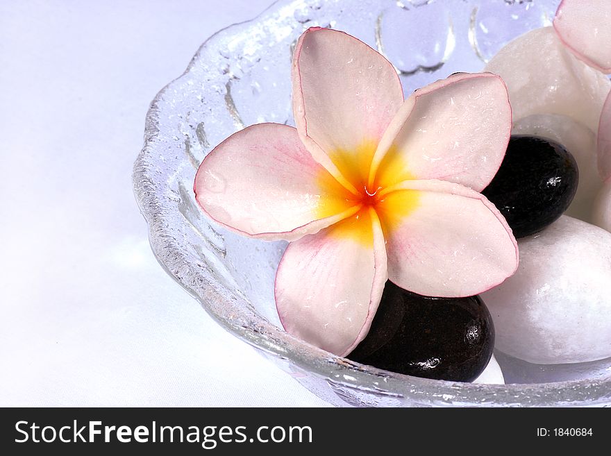 Frangipane flowers and pebbles in a glass bowl on the rattan background