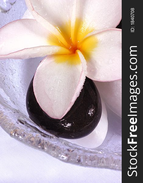 Frangipane flowers and pebbles in a glass bowl on the rattan background