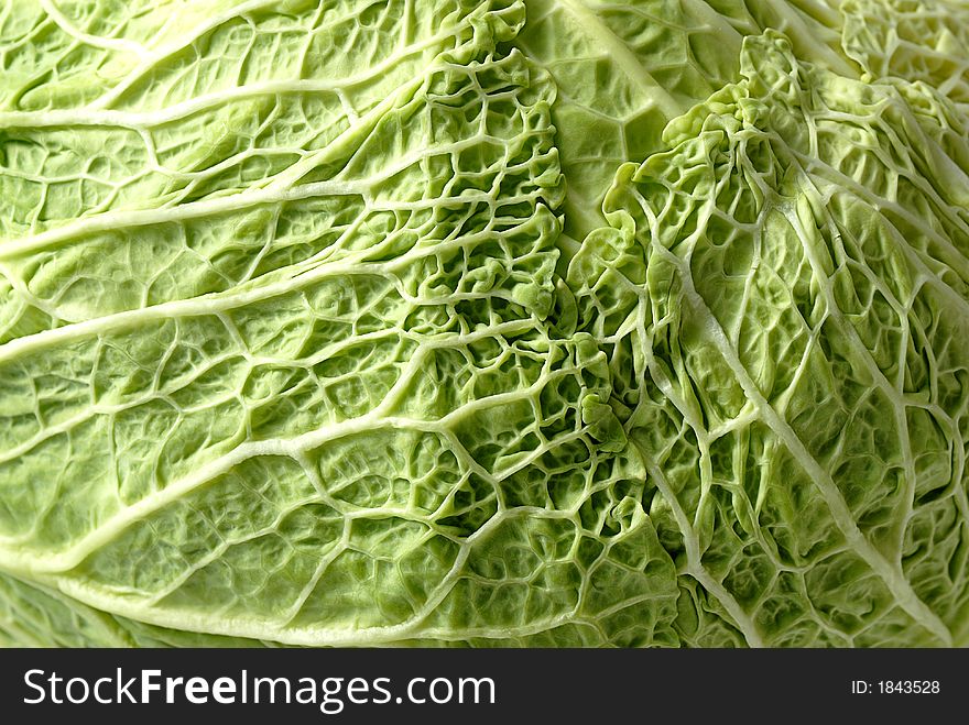 Closeup of detail of savoy cabbage head -leaves pattern