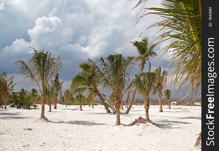 A beach resort in Cancun Maxico