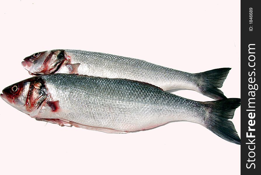 Two fresh sea bass ready for cook on white background. Two fresh sea bass ready for cook on white background