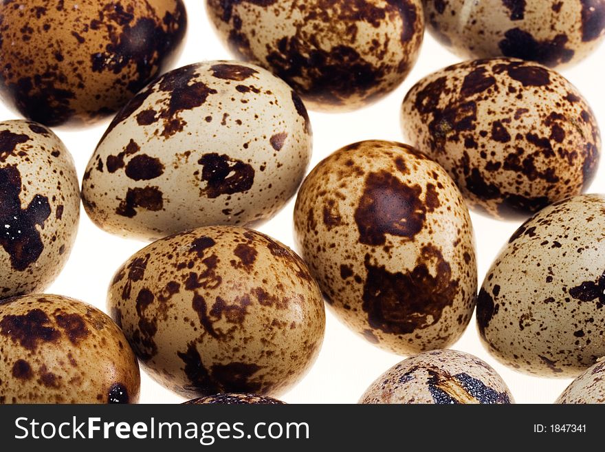 Quail's eggs. Close-up. Isolated. White background. Horizontal