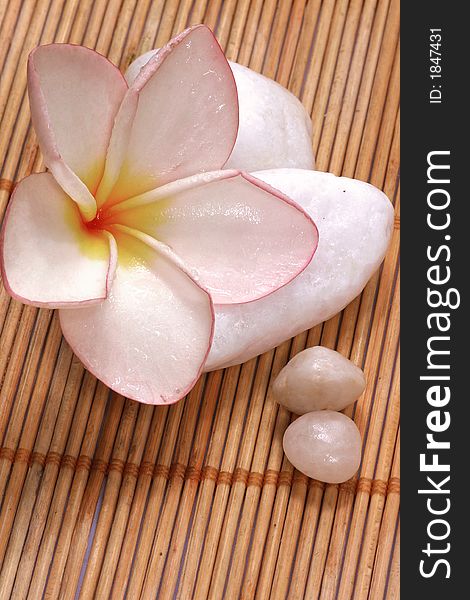 Frangipane flower and pebbles on the rattan background