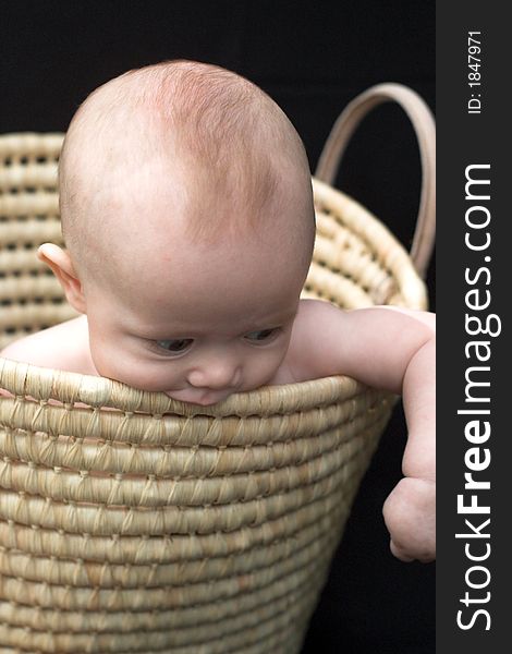 Image of baby sitting in basket, chewing on the side. Image of baby sitting in basket, chewing on the side