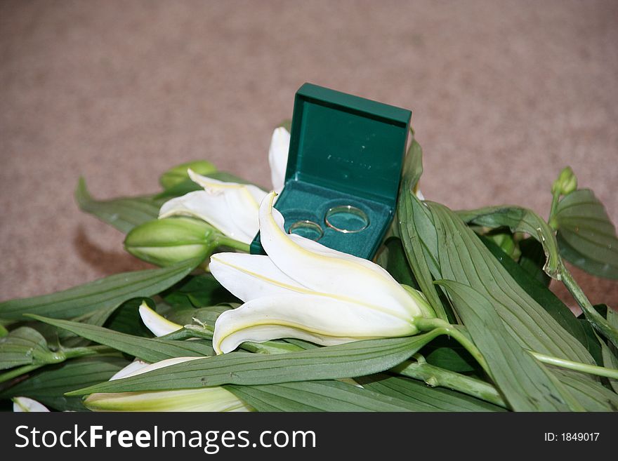 Wedding gold rings in a green casket. Wedding gold rings in a green casket