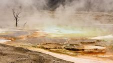 Mammoth Hot Springs Panoramic Royalty Free Stock Images Mammoth Hot Springs Panoramic Royalty Free Stock Images