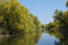 Danube Delta Channel Stock Image Danube Delta Channel Stock Image